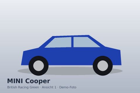 MINI Cooper Classic Trim